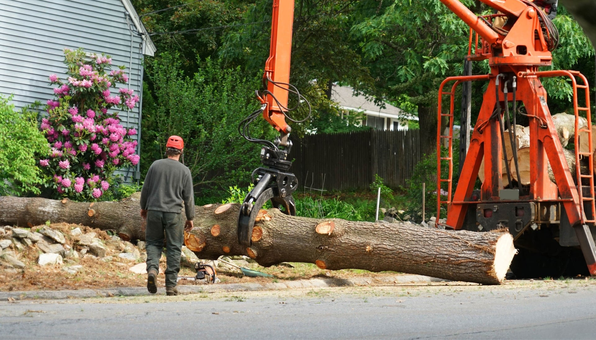 A tree removal professional stays away as log falls in Suffolk County, New York